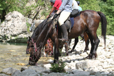 Albania-Central-Ancient Zagoria Pathways